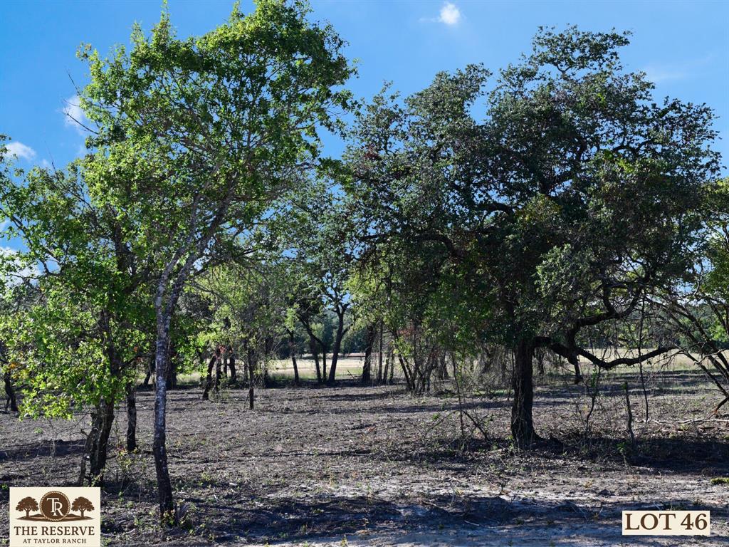 Welcome to The Reserve at Taylor Ranch, Your Private Slice of Parker County Paradise. This lot features a turn key lot that has been selectively cleared ensuring beautiful and well manicured oaks remain. Ready for your build project! Nestled in the quiet countryside of Springtown and within the coveted Weatherford ISD, offering a rare opportunity to own acreage tracts that balance privacy, beauty, and freedom, all just minutes from town. Ranging from hilltop parcels with sweeping views to shaded, wooded retreats;  each one unique and full of potential. With rolling topography that rises nearly 90 feet, the backdrop is breathtaking, offering unforgettable Parker County sunsets and a peaceful rhythm of life that feels miles away from the noise, yet only 20–25 minutes from Weatherford and close to Springtown’s local dining, shopping, & amenities. The Reserve is a true escape, a neighborhood that prioritizes privacy, space, & quality. Build your dream home on your timeline with deed restrictions, no HOA, and the freedom to create a lifestyle that suits you. Enjoy underground electricity, no water bills, well and septic-ready lots, & Next Link Fiber Optic Connectivity, all while being nestled in a quiet community. It’s the kind of place where neighbors wave, stars shine brighter, and the land works with you, not against you. The Reserve at Taylor Ranch isn’t just a place to live; t’s a place to belong. Evenings here feel like stepping back in time, where you can wander under wide Texas skies, catch lightning bugs in the dusk, and enjoy the kind of quiet that lets you hear the breeze through the trees. This is your invitation to slow down, spread out, and savor the simple moments. Come walk the lots, take in the views, and imagine the possibilities. New single-family construction must have a minimum of 1,700 square feet. No Barndominiums.