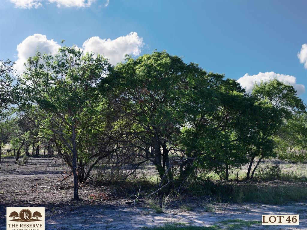 The Reserve at Taylor Ranch - Land