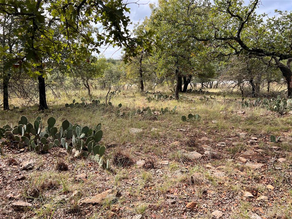 Oak Point Ph Two - Land