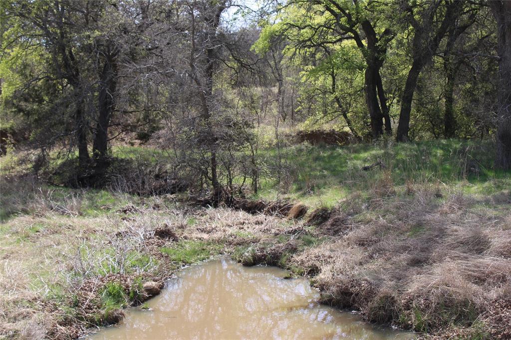 Hey hunter, here is that perfect tract of land for your own hunting place. This property has it all! Rock outcropping, creek , thick area of oak trees, elevation changes, open pasture with mature oak trees so come out and take a look at what you can make of this fantastic piece of property. In an area of large ranches so plenty of wildlife and peace and quiet. Minimal restrictions and property under ag but changing to wildlife exemption so low taxes. Electricity is on the property. Good fences on three sides of the property with gate entrance on county-maintained road. Just off the highway for easy access back to the metro area. What a great opportunity for you to own a Texas recreational ranch! OK for multi-family homesites.