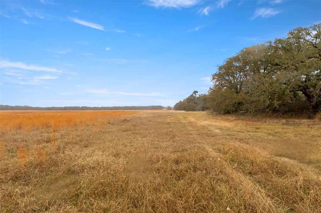 A0746 - Land