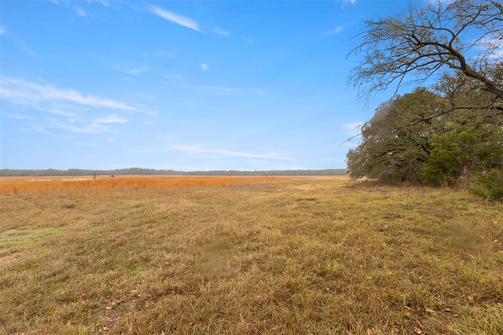 A0746 - Land