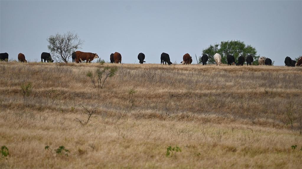na - Farm