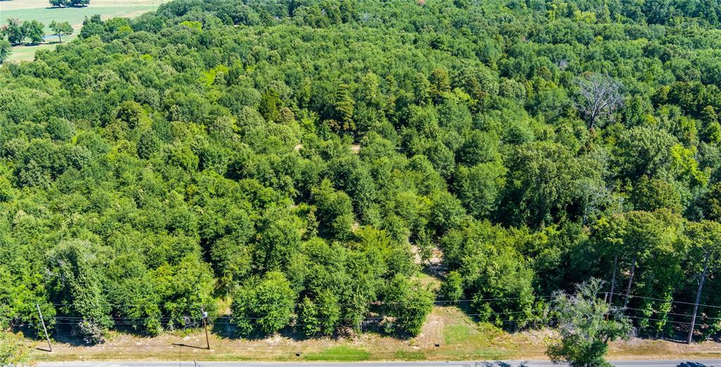 Build your dream home or lake cabin at Lake Holbrook.  Just minutes from shopping and dining in Mineola, as well as, close proxmity to Tyler.  No HOA, lake view, mature trees and utilities at street.  Lot has been platted and you have the option to purchase neighboring lots should you want more space.  Deed Restrictions available upon request, no mobile homes.  Highly desired location off Lake Holbrook, no thru traffic and most your neighbors enjoy fishing and relaxing.  Community boat ramp, public boat ramp, public beach and swim area and much more!  20 minutes from Lake Fork a premier bass fishing lake.  Alba-Golden ISD.  Each lot 60' wide and 150' deep, approximately quarter of an acre.  Go take a look, we would love to meet you there to walk the property and discuss.