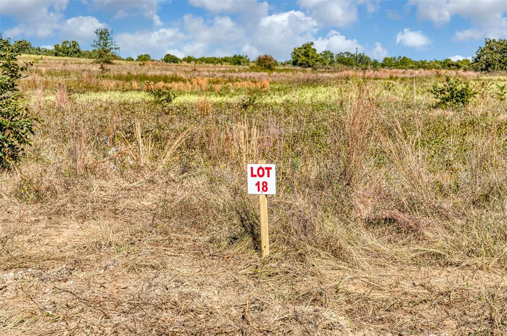 Coyote Meadow - Land