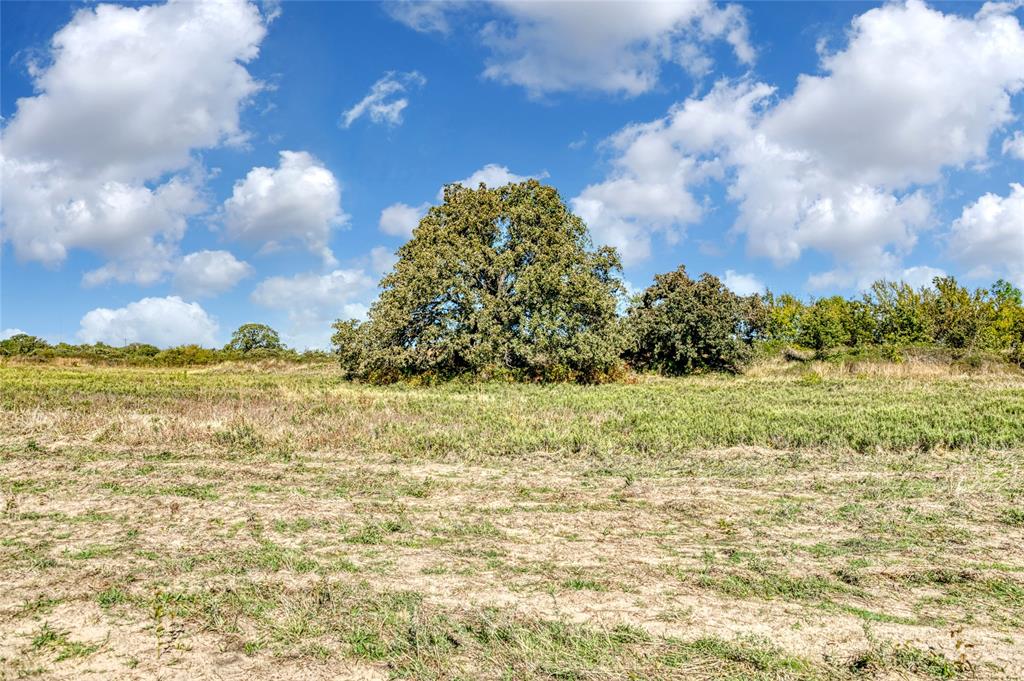 Coyote Meadow - Land