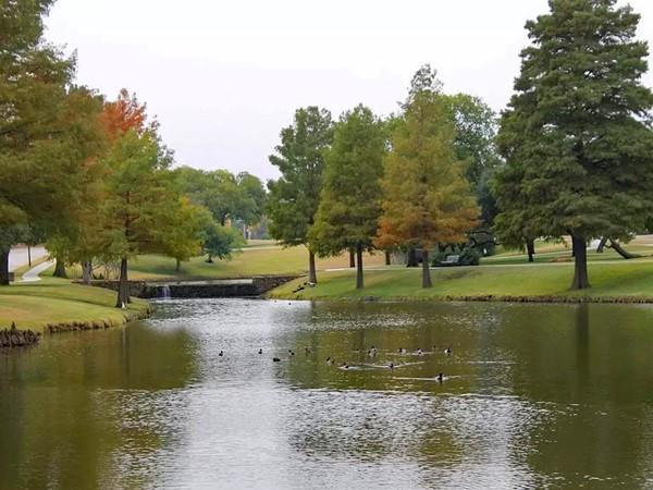 University Park 01 - Residential