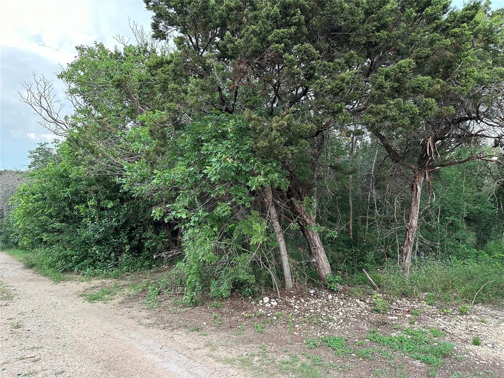Two beautiful adjoining lots totaling .4 acres offer the perfect canvas to build the home you’ve always imagined. Set among mature trees and surrounded by hundreds of acres of Corps of Engineers land, this property delivers the peace, privacy, and natural beauty that make Lake Whitney such a sought-after escape. The lake itself wraps the area, and you’re only about a mile from a convenient boat ramp, making fishing, swimming, and boating an easy part of everyday life.
Despite the secluded feel, you’re never far from what you need. Two championship golf courses are just ten minutes away, the town of Whitney is five miles down the road, Waco is within a forty-five-minute drive, and the DFW metroplex is roughly an hour out. It’s an ideal balance of quiet living with quick access to larger cities.
Whether you want both lots for extra space or prefer to purchase just one, the flexibility is yours. It’s a rare opportunity to claim a double lot in such a scenic, well-positioned location and create something truly special. Seller clearing trees is an option.