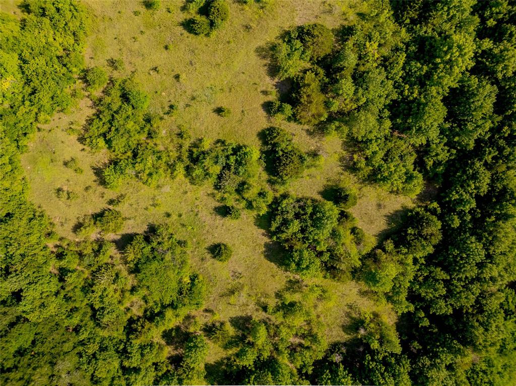 ABS A0937 D VAN WINKLE SURVEY - Land