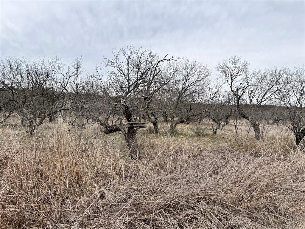 Oak Point Ph One - Land