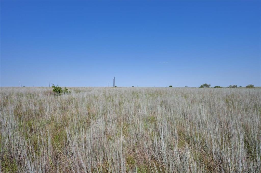 Paloma Vista - Land