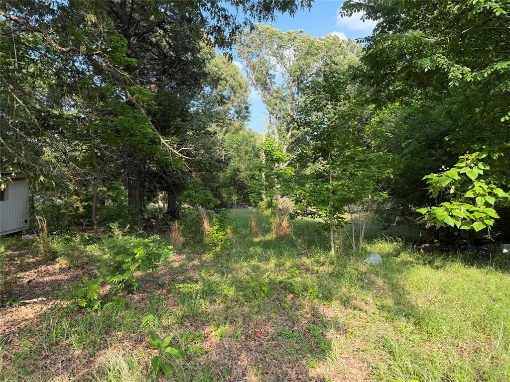 Martins Mill Estate - Land