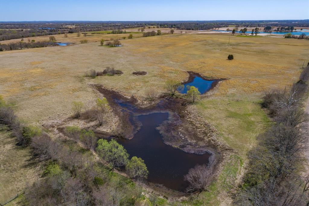 Acres 64.760, ABST: 290, SUR: A GRAY - Land