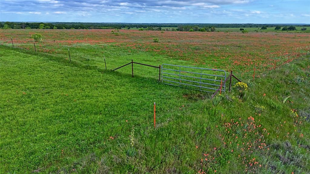 Lindsay Pasture Sub - Farm