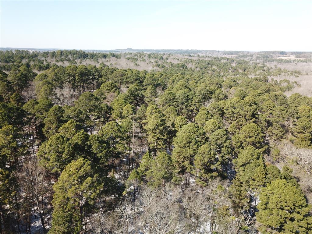 Rural - Land