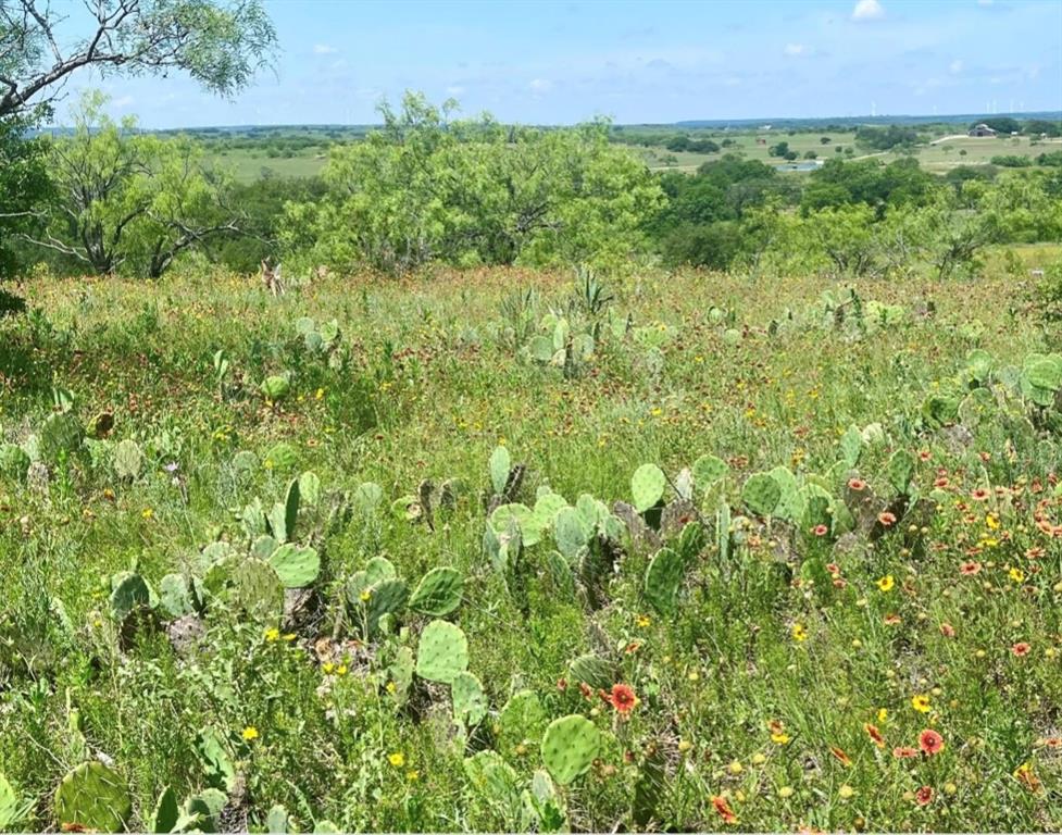 9.11 acres located in gated community at Mercers Preserve. Great build site to put your new custom home sitting on top of a hill with a view