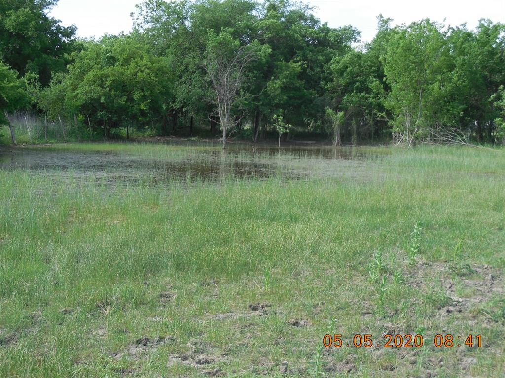 Nw&F Blundell 10 - Land
