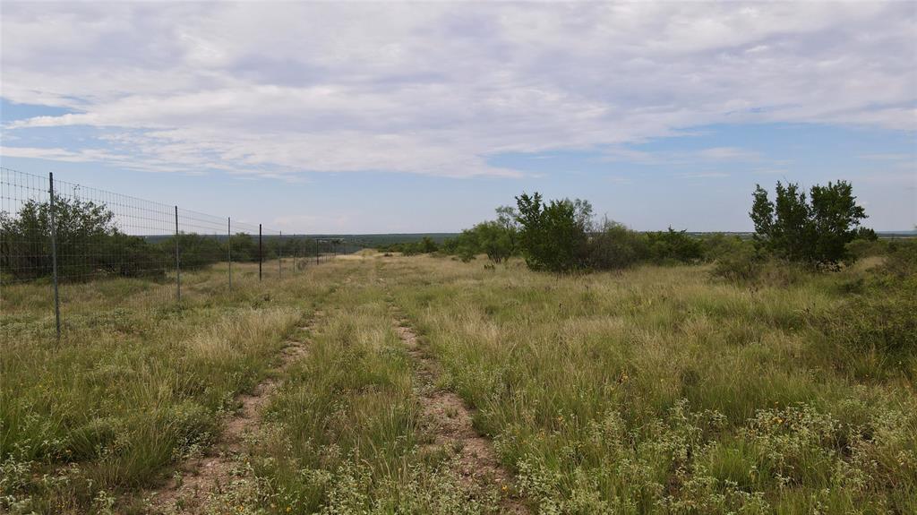 Concho - Land
