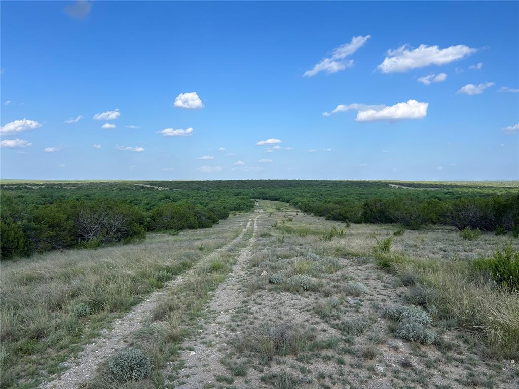 Concho - Land