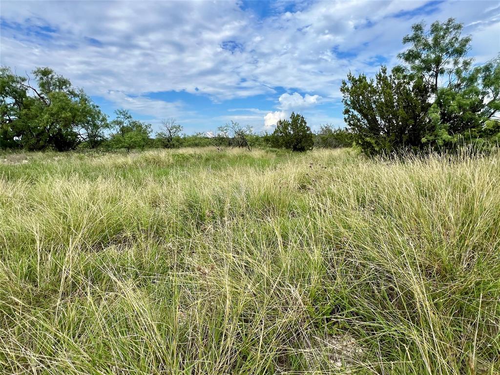 Concho - Land