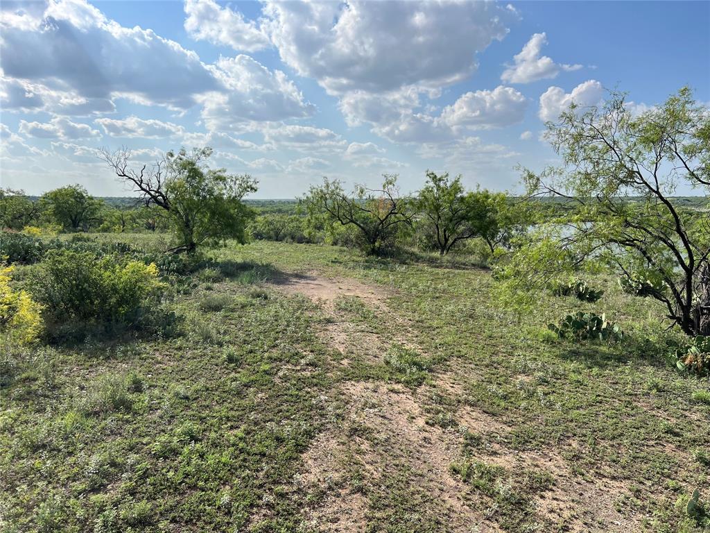 Concho - Land