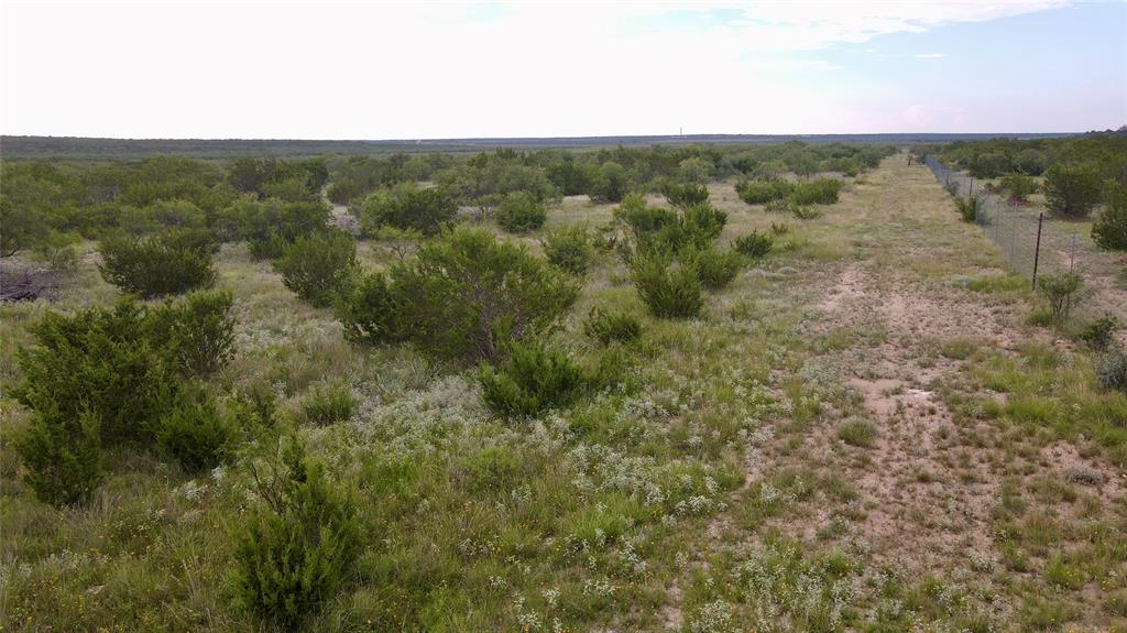 Concho - Land