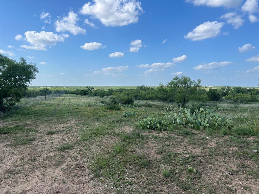 Concho - Land