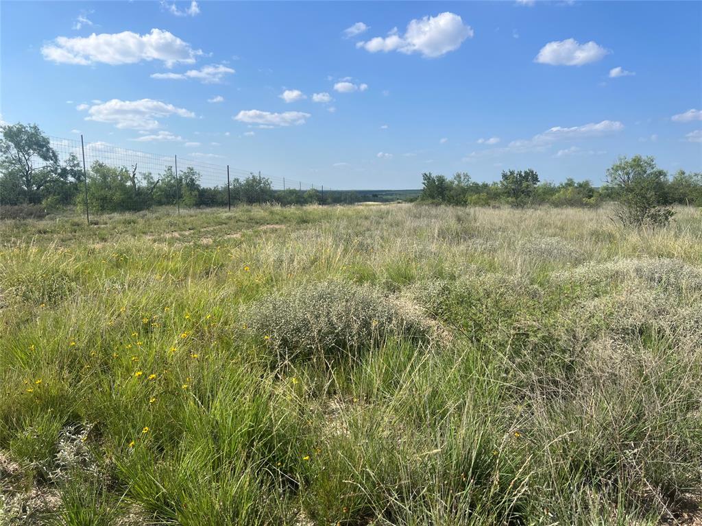 Concho - Land