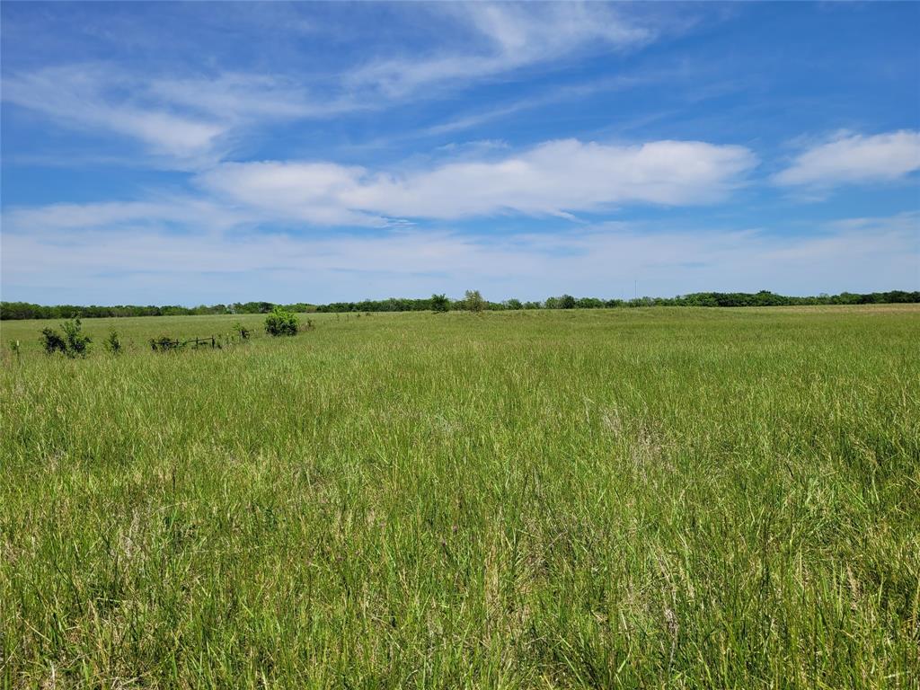 Beautiful, productive 30 acres currently used for hay production averaging 100 to 150 round bales a season.  There is 424 feet highway frontage with electricity and coop water at the highway frontage.  It is all open and at the very back acreage comes up to backdrop of woods.  It is partially fenced currently no fence on north boundary.  There is a small pond that could be enlarged for cattle or just to stock and fish.  You can continue hay production, or finish fencing to run cattle, or build your dream country home.  It is located about 31 miles from Idabel Oklahoma, 63 miles from Texarkana, 42 miles to Mt. Pleasant, 36 miles to Mt. Vernon, and 31 miles from Paris.  Come take a look and check out this beautiful productive acreage.