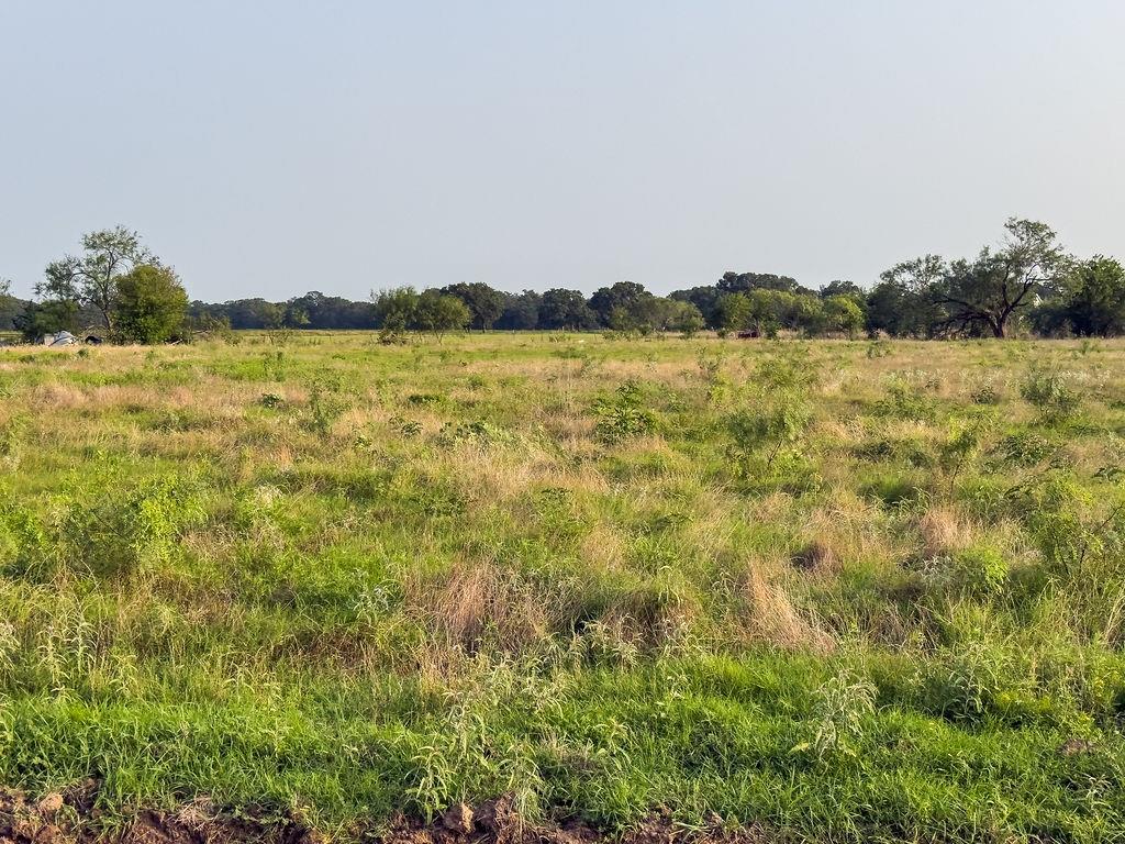 ELM BRANCH - Land