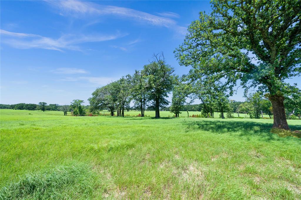 Rural - Farm