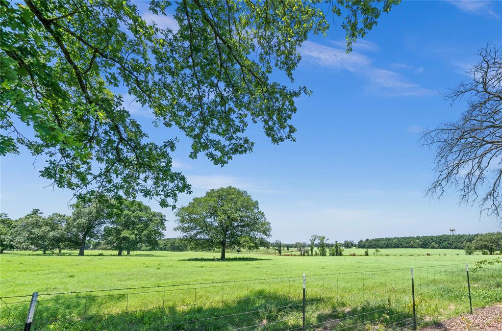 Rural - Farm