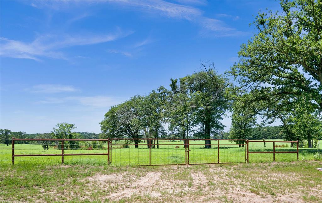Rural - Farm