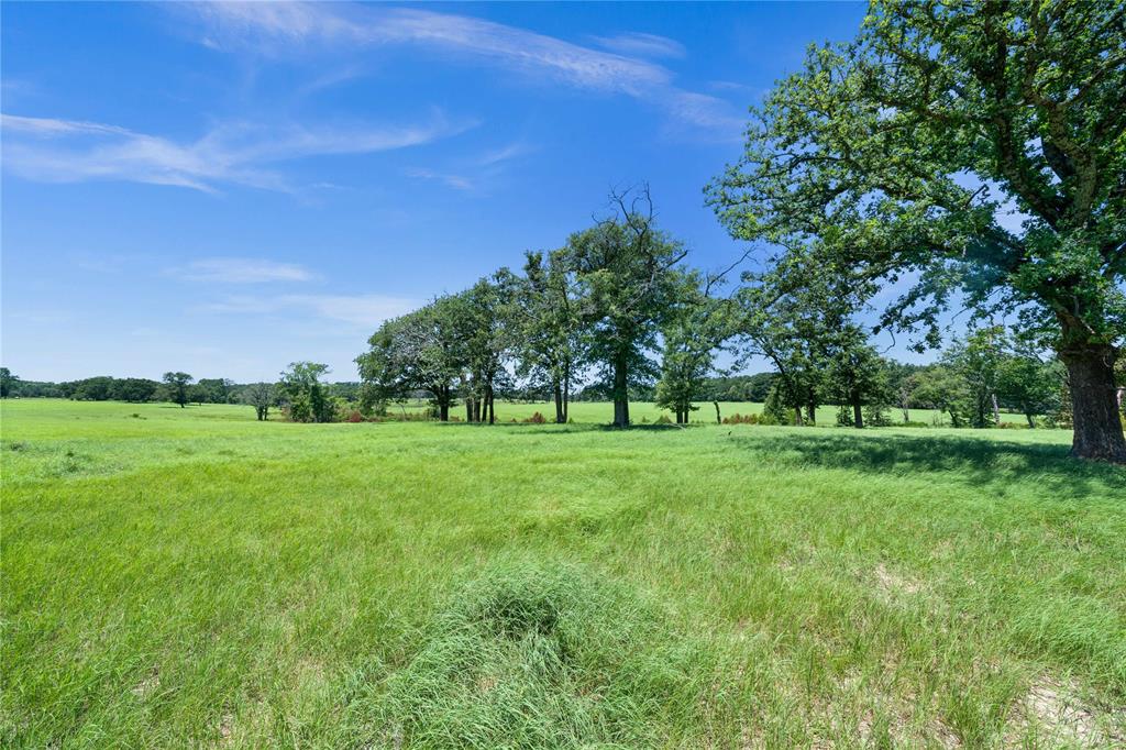 Rural - Farm