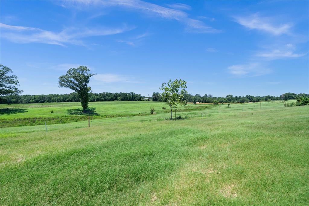 Rural - Farm