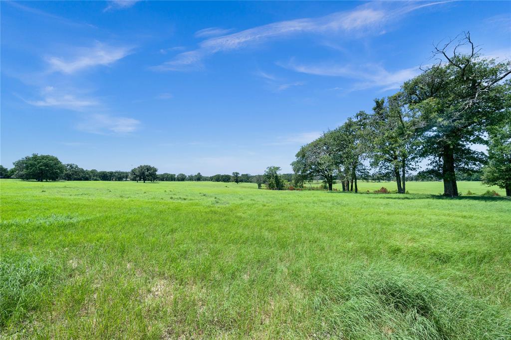 Rural - Farm