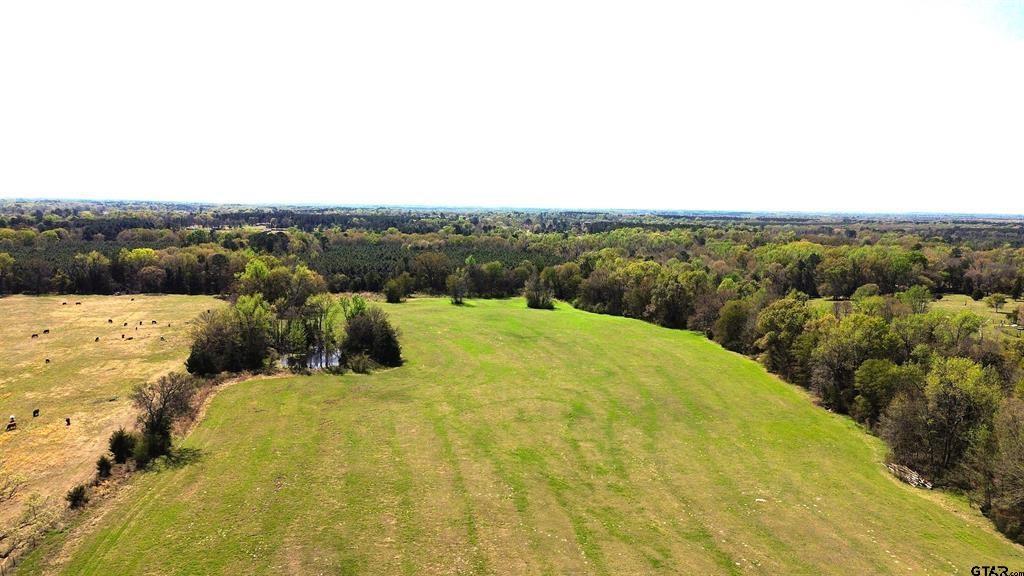 18+ Acres just 5 minutes from historic Pittsburg! Whether you want to build your country life (with amenities!) or raise cattle, this is your opportunity. The land is 90% clear pasture with a pond that never dries up!