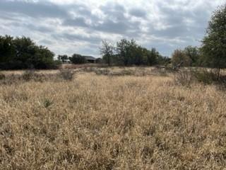Come build your dream home on this 0.2 acre lot at the Hideout Grill & Resort at lake Brownwood. This is a high end sought out area offering so many activities. These activities range from chilling at the beautiful pool, to playing tennis at the tennis courts, lounging at the hot tubs, and so much more! It also includes an AMAZING golf course! This is a place you definitely don't want to miss out on! Bring offers! Negotiable!