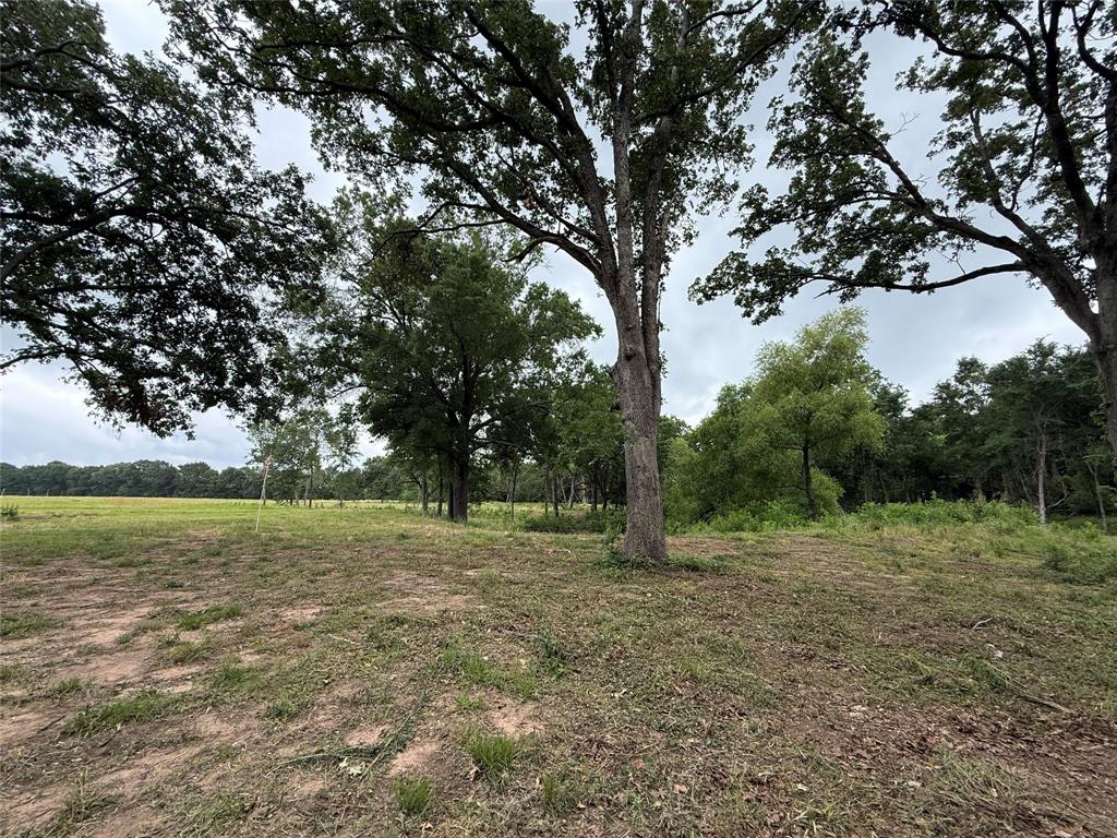 East Edgewood Village - Land