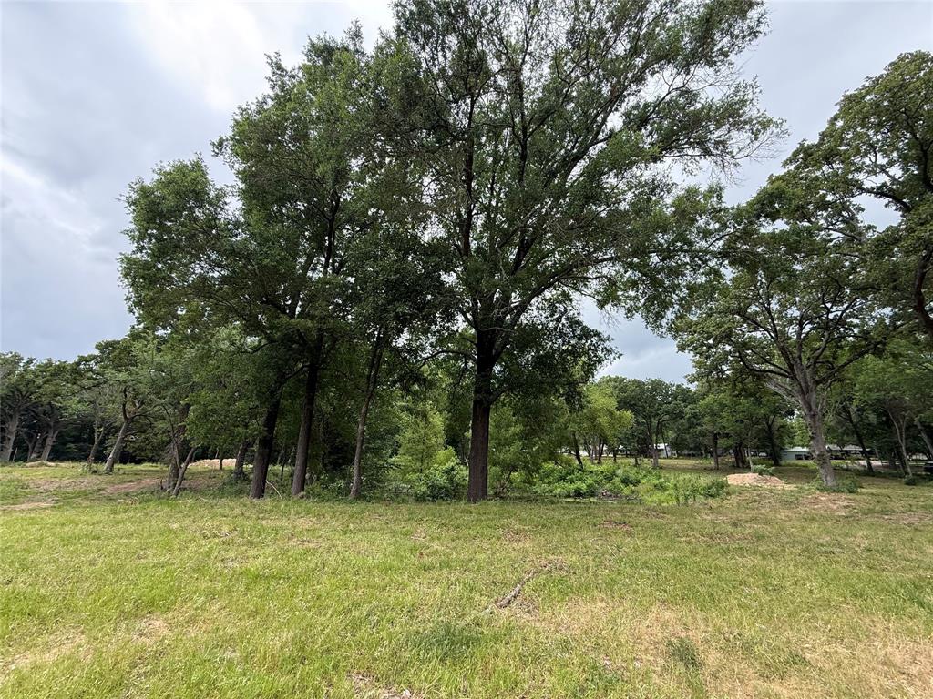 East Edgewood Village - Land