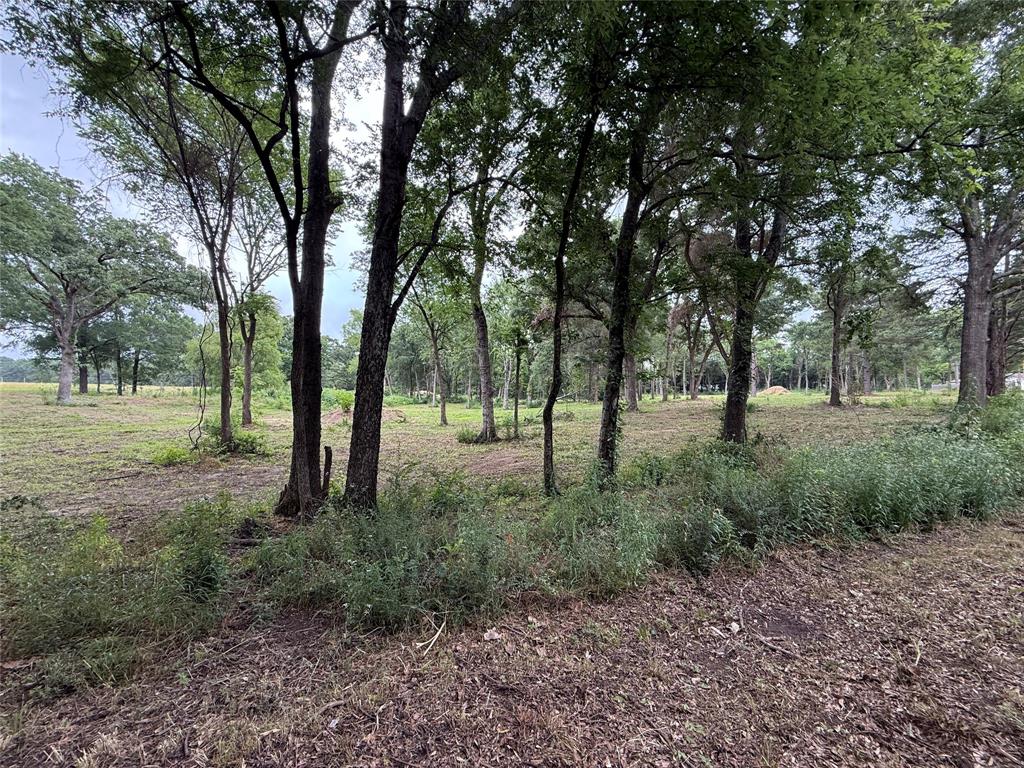 East Edgewood Village - Land