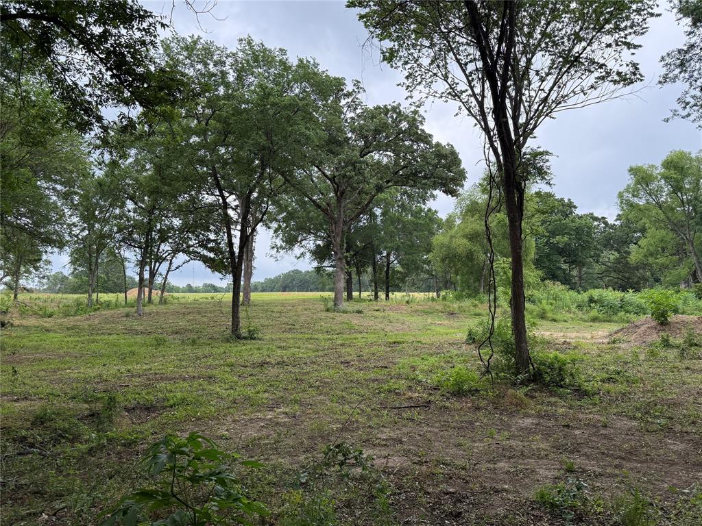 East Edgewood Village - Land