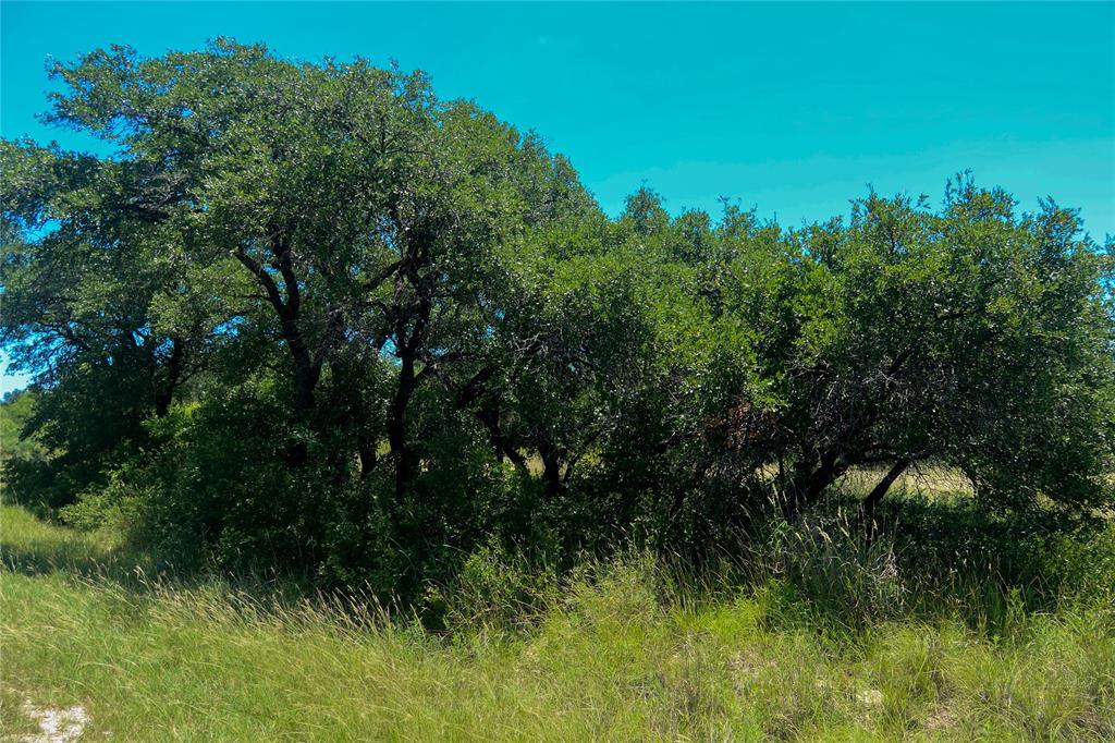 Kings Point Cove - Land