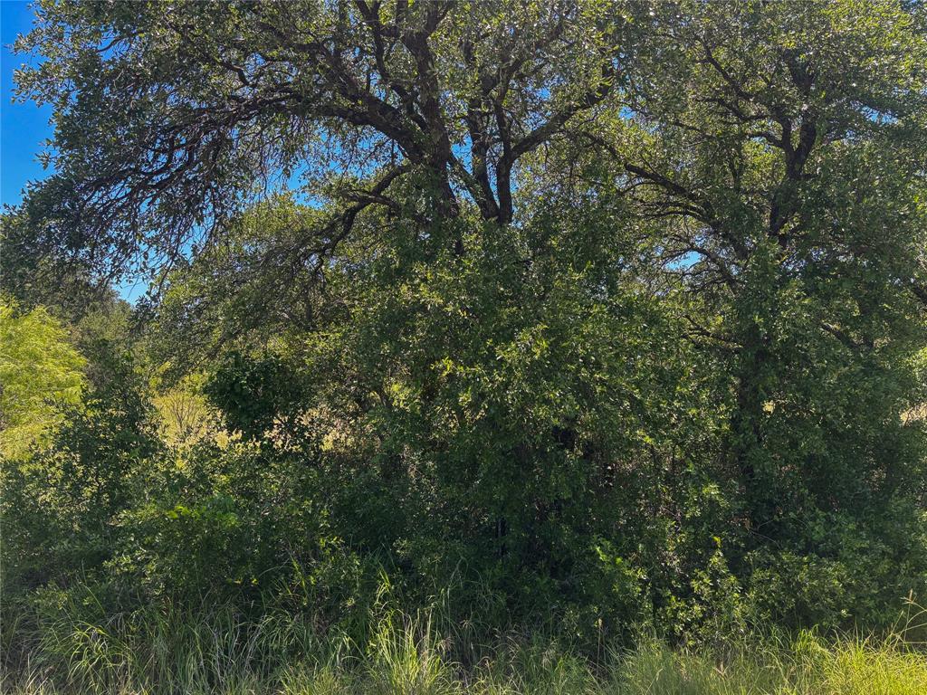 Kings Point Cove - Land