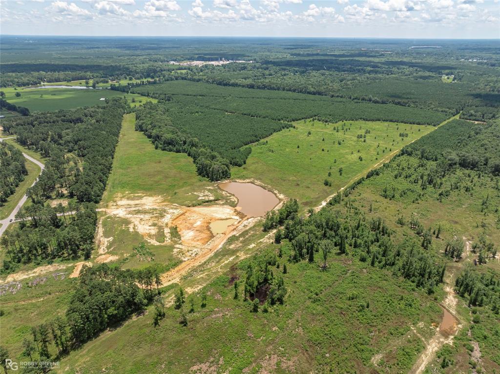 Incredible opportunity to own 150 beautiful acres located at the end of Faith Plantation Drive in Princeton, LA. This versatile property offers a mix of pine, hardwoods, and open pasture—perfect for development, recreational use, or building your dream home with a herd of cattle.
Located in the highly sought-after Haughton school district, this is a rare find in Bossier Parish with endless potential.  There are up to 650 acres available with the possibility of also splitting this tract into two gorgeous home places.  Bring all offers! This is a gorgeous tract in a prime location.