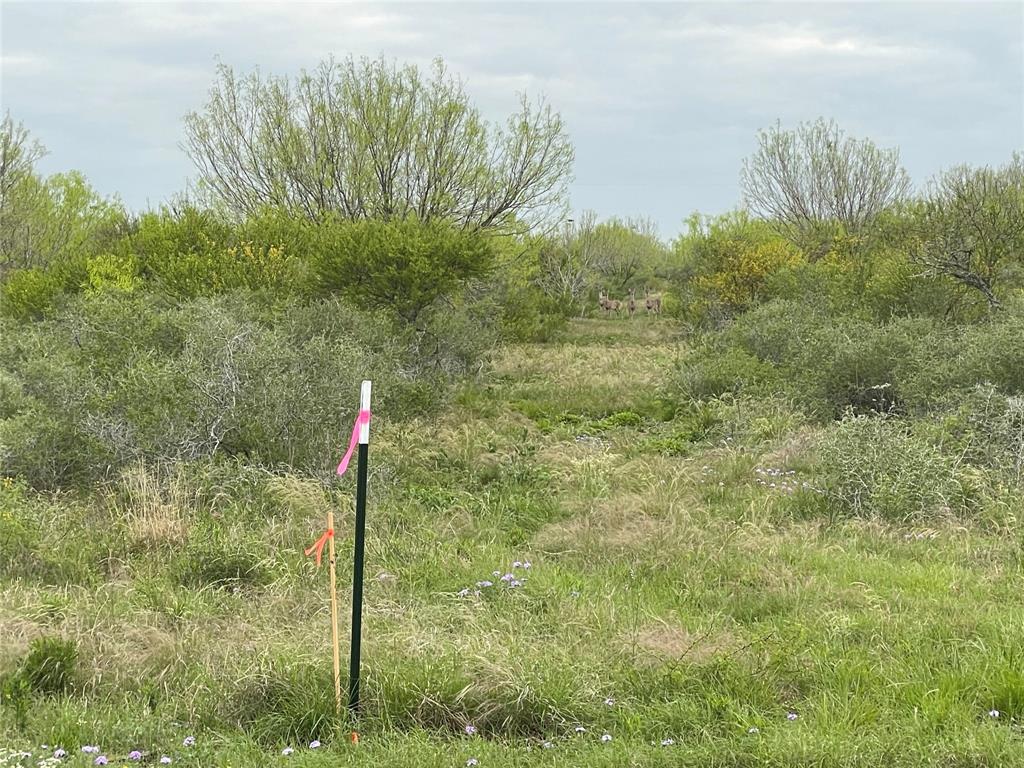 Frio County Estates - Land