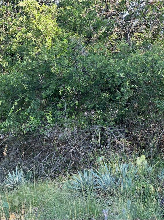 Welcome to the highly sought after location of Oak Point at Lake Brownwood! This is an RV lot in the gated community of Oak Point. Additional lots are available!! Water-related amenities included contain: Boat ramps! Oak Point has multiple boat ramps for easy access to the lake. Swimming beach! A community swimming beach provides a designated area for swimming and relaxation. Fishing areas! The lake offers opportunities for fishing. Other amenities: Oak Point offers free RV parking for guests. A septic dump station is available for RVs. Oak Point features parks for residents and visitors to enjoy. Also have Tyler Bay close by there is swimming and picnic tables set to enjoy your time! Oak Point is a gated community, providing added security and peace of mind. Residents also have access to a private beach area! Oak Point additionally features private boat ramps for residents. And... Zephyr city water is scheduled to be available in the near future! Do not miss your chance to be a part of this excellent location at Lake Brownwood!