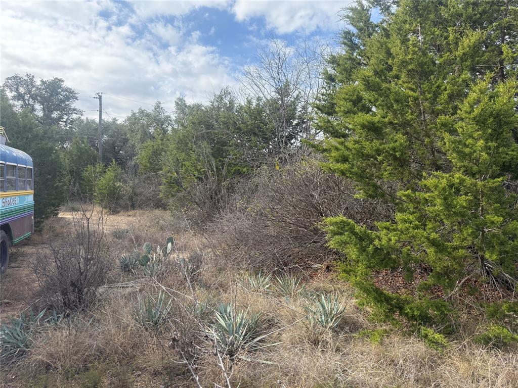 WILLIAM H IRIONS, SURVEY 52, ABSTRACT 537, ACRES 1 - Land