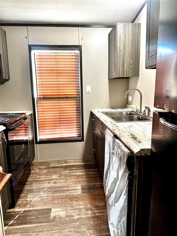 Road Runner - Residential
