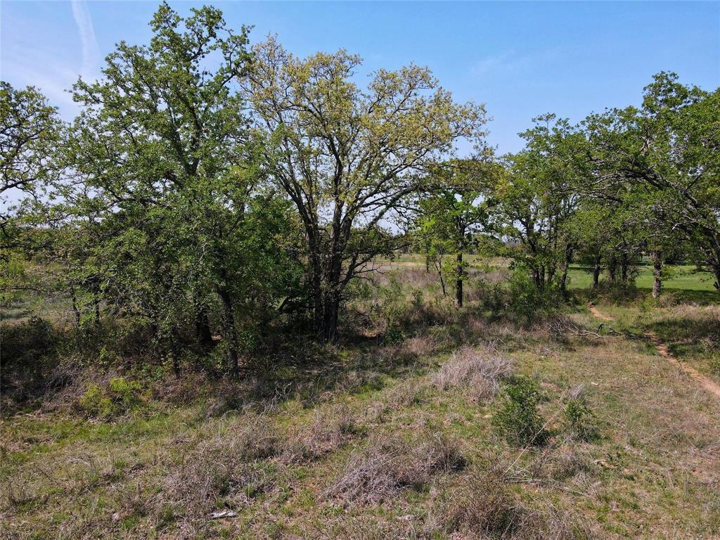 Paradise Oaks Ranch - Land